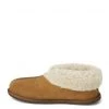 Celtic & Co. Men's Slippers Sheepskin Slipper Boots -Popular Znas Store SD 10 T19 3501 VS X EC 4